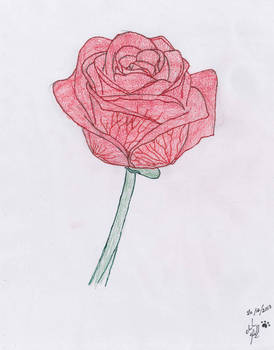 Rose~