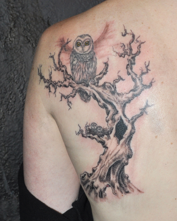 Sarah's owl by nwupstart on DeviantArt Sarah's owl by nwupstart on DeviantArt