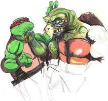 Raphael VS Tokka