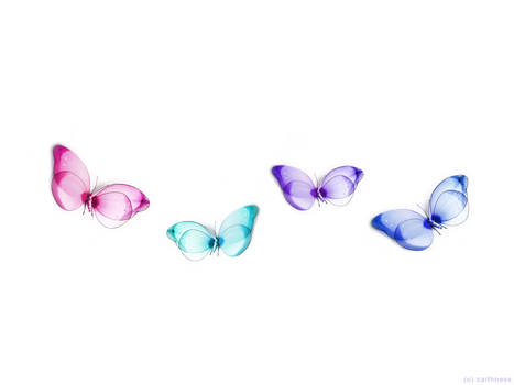 Butterfly ll :: 4Butterflies