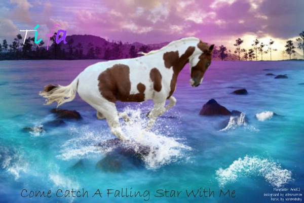 Come Catch A Falling Star With Me?