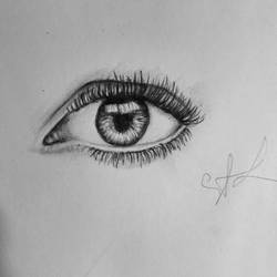 Eye's study