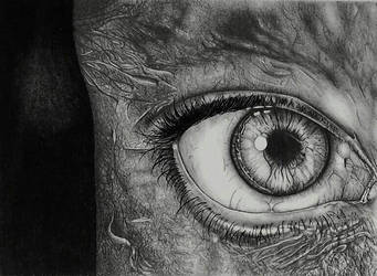 The study of eye