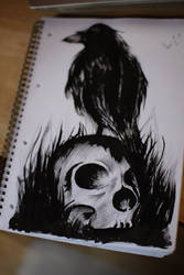 Raven and skull drawing..