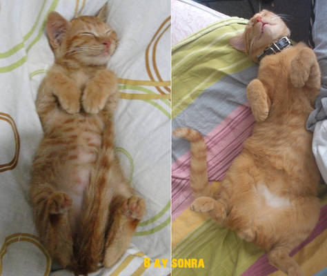 When I sleep 8 months  before/after