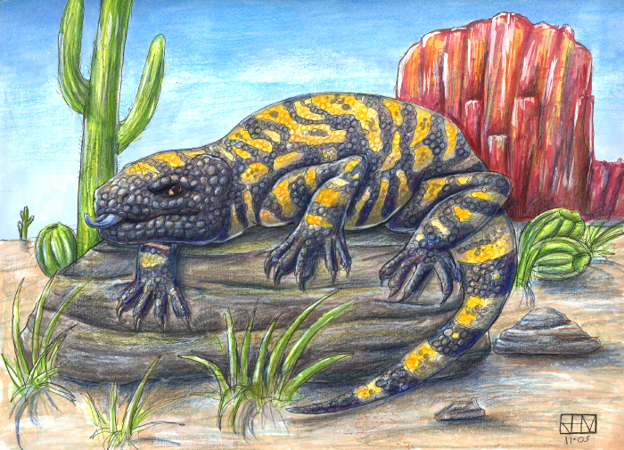 Gila Monster by Gwydd on DeviantArt