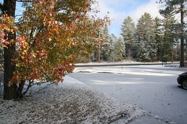 Septembers First Snow in LOL by FireBoar