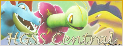Pokemon HG SS Central by ShinYumi on DeviantArt