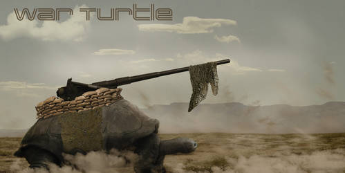 War Turtle