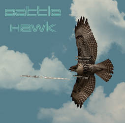 Battle Hawk