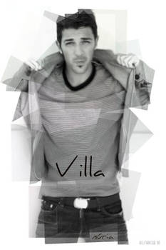 David Villa