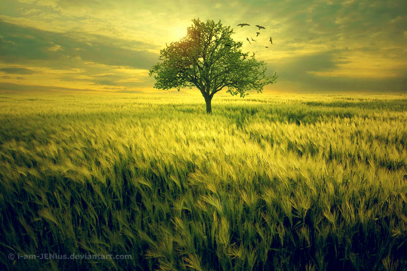 Shattered Solitary Tree