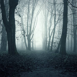 Ghostly Path Premade 1