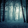 Twilight Forest Premade