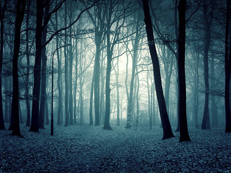 Twilight Forest Premade