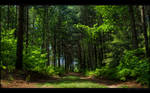 Path by realityDream
