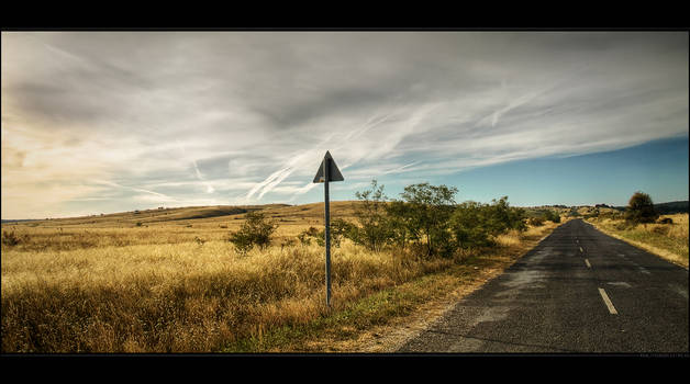 Through golden fields