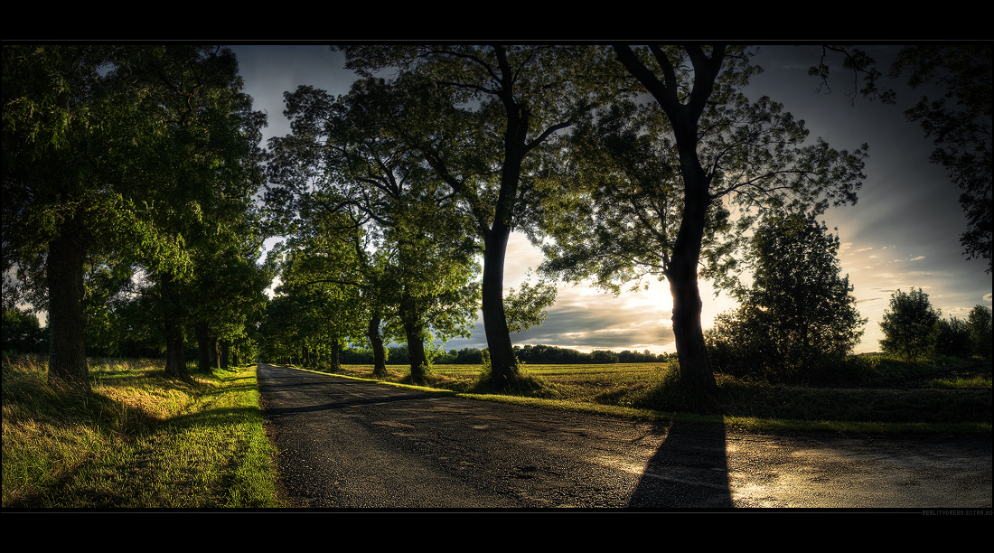 Enter the road