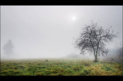 November mist