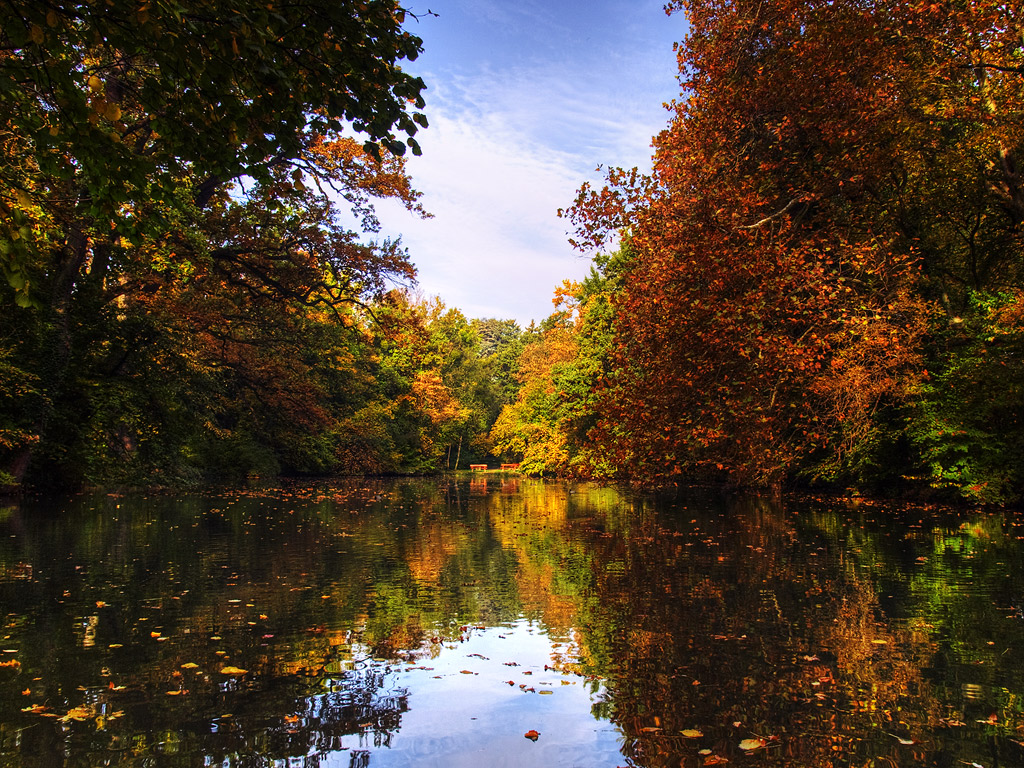 Autumn mirror