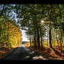 Autumn journey pt.I.
