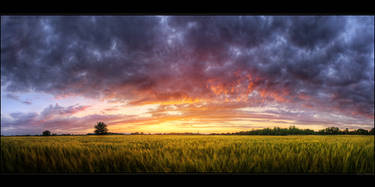 Hungarian skies pt.LXXIII.