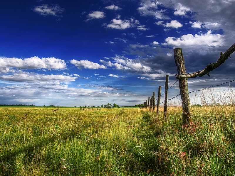 Beyond the fence pt.II.