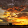 Ghosts of the sun VIII.