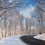 Winter road WP