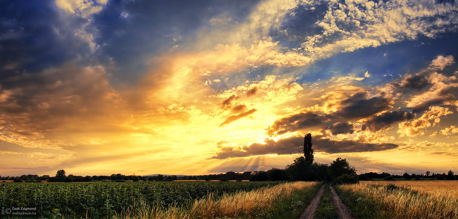 Hungarian skies pt.CXV.