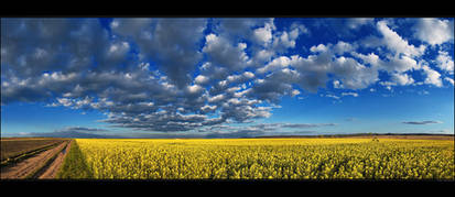 Hungarian skies pt.CXVIII.