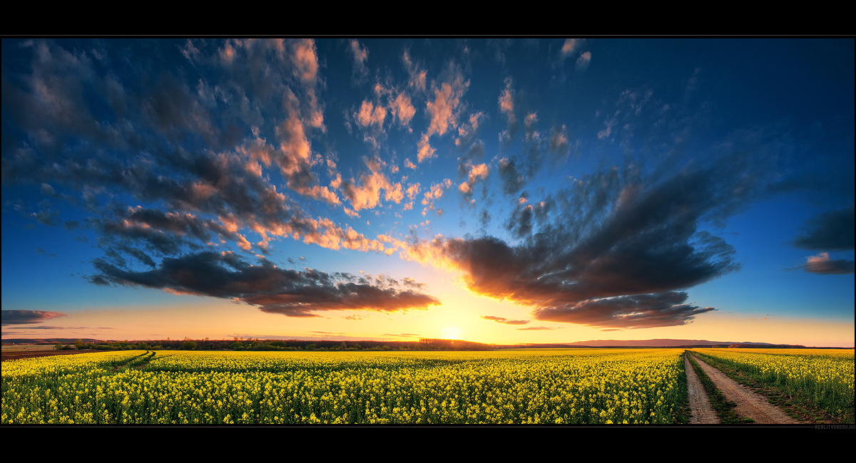 Hungarian skies pt.CXIX.