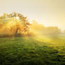 Sunrise overture pt.IV.