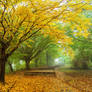 Autumn walk pt.VI.