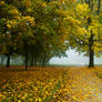 Autumn walk pt.VII.