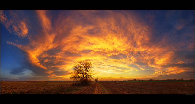 Hungarian skies pt.CXXXIX.