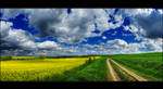 Hungarian skies pt.CL. by realityDream