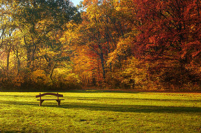 Autumn Walk pt.XII.