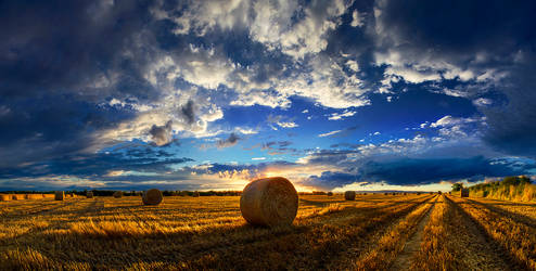 Hungarian skies pt.CLXXXI.