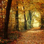 Autumn Walk pt.XXI.