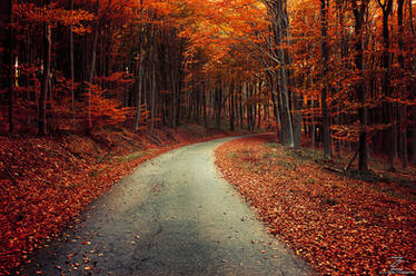Explore the Best Autumn Art | DeviantArt
