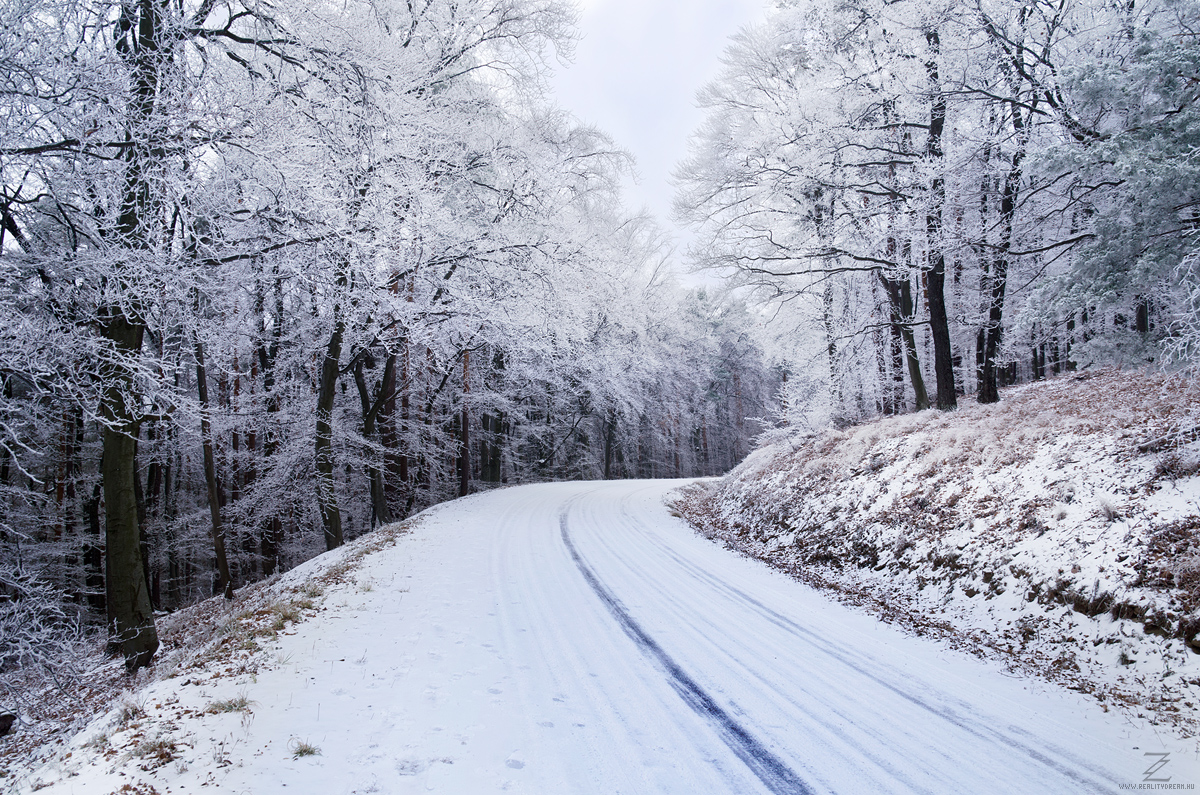 Winter Journey I.