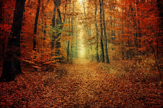 Explore the Best Autumn Art | DeviantArt