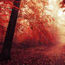 Red Forest V.