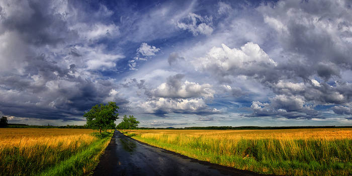 Hungarian skies CCXXV.