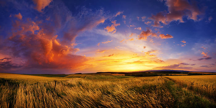 Hungarian skies CCXXVIII.