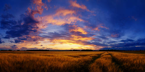 Hungarian skies CCXXII.