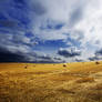 Hungarian countryside XIV.