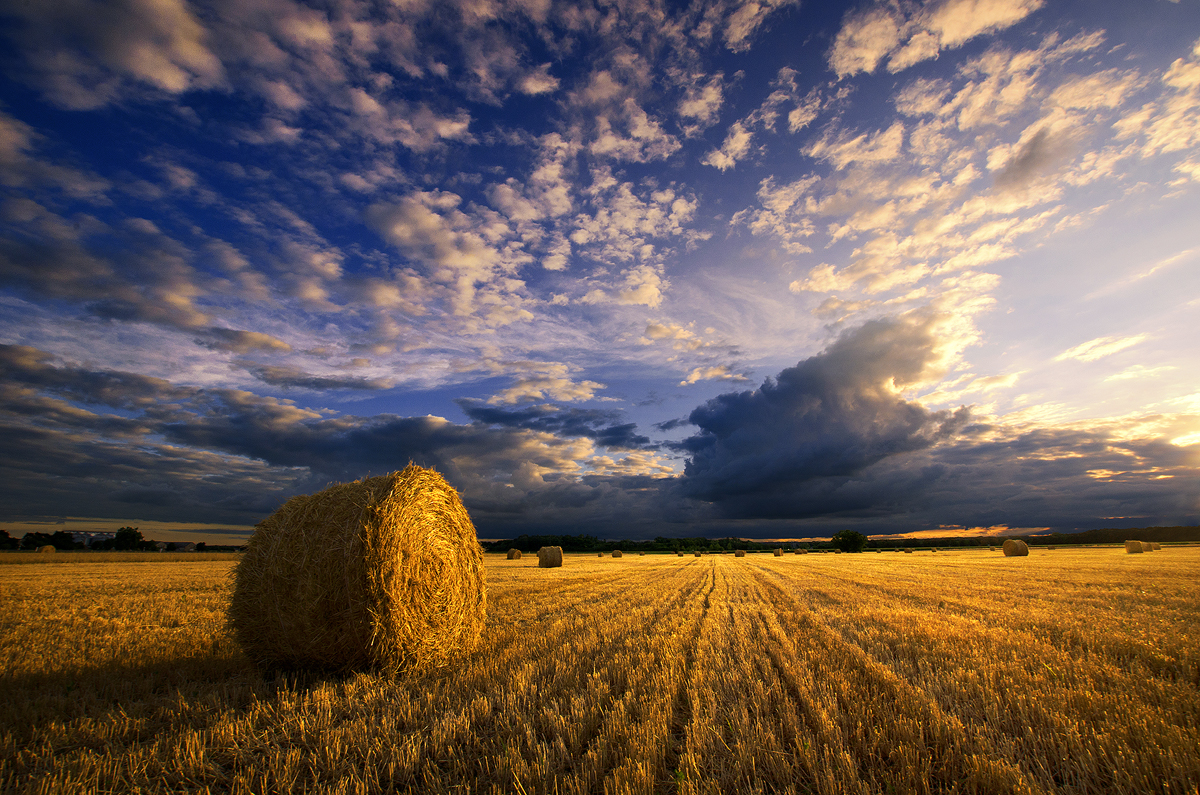 Hungarian countryside XXII.