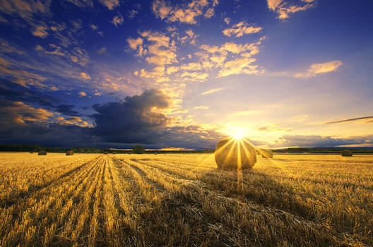 Hungarian countryside XXIII.